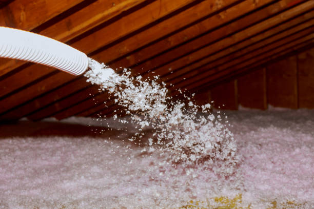 Types of Insulation We Offer in Pana, IL