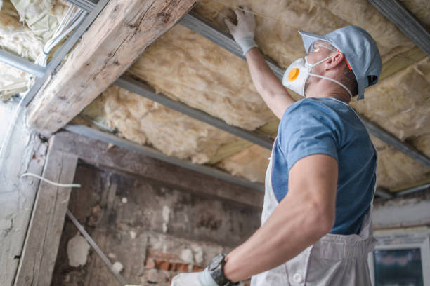 Reliable Pana, IL Insulation Contractor Solutions