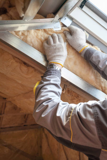 Best Cellulose Insulation in Pana, IL