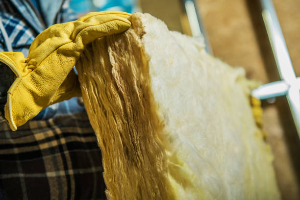 Best Specialized Insulation Services in Pana, IL
