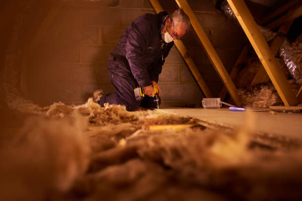 Types of Insulation We Offer in Pana, IL