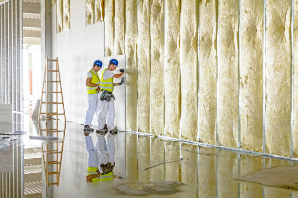 Best Cellulose Insulation in Pana, IL